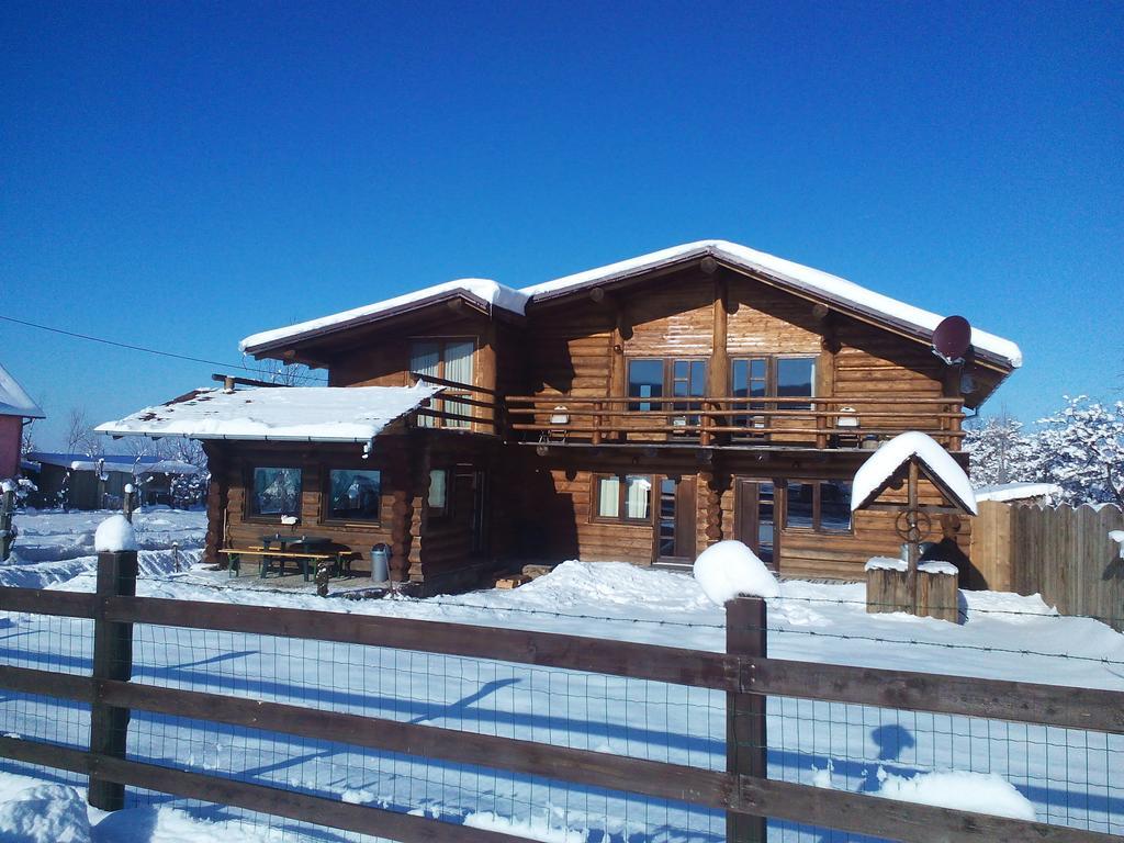 Penzion Casa Muntelui - Sambata Sîmbăta de Sus Exteriér fotografie