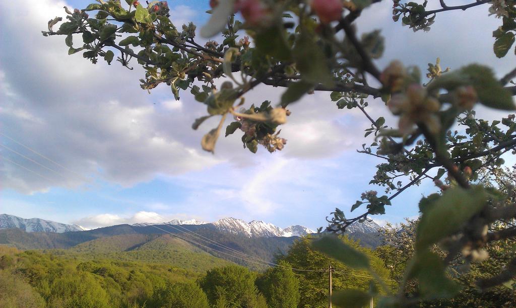 Penzion Casa Muntelui - Sambata Sîmbăta de Sus Exteriér fotografie