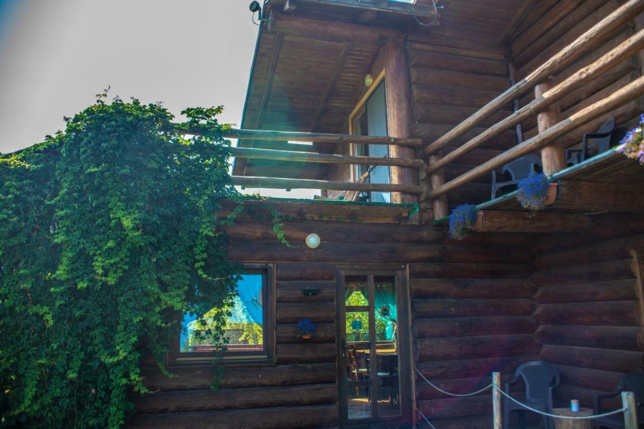 Penzion Casa Muntelui - Sambata Sîmbăta de Sus Exteriér fotografie